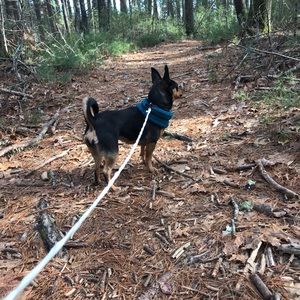 Meet your Posher, Katherine